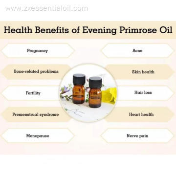 Wholesale organic cold pressed evening promise oil